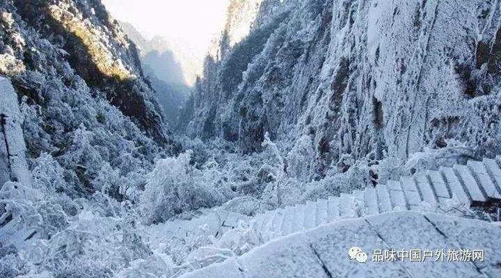 虎胆熊威2中文无敌版